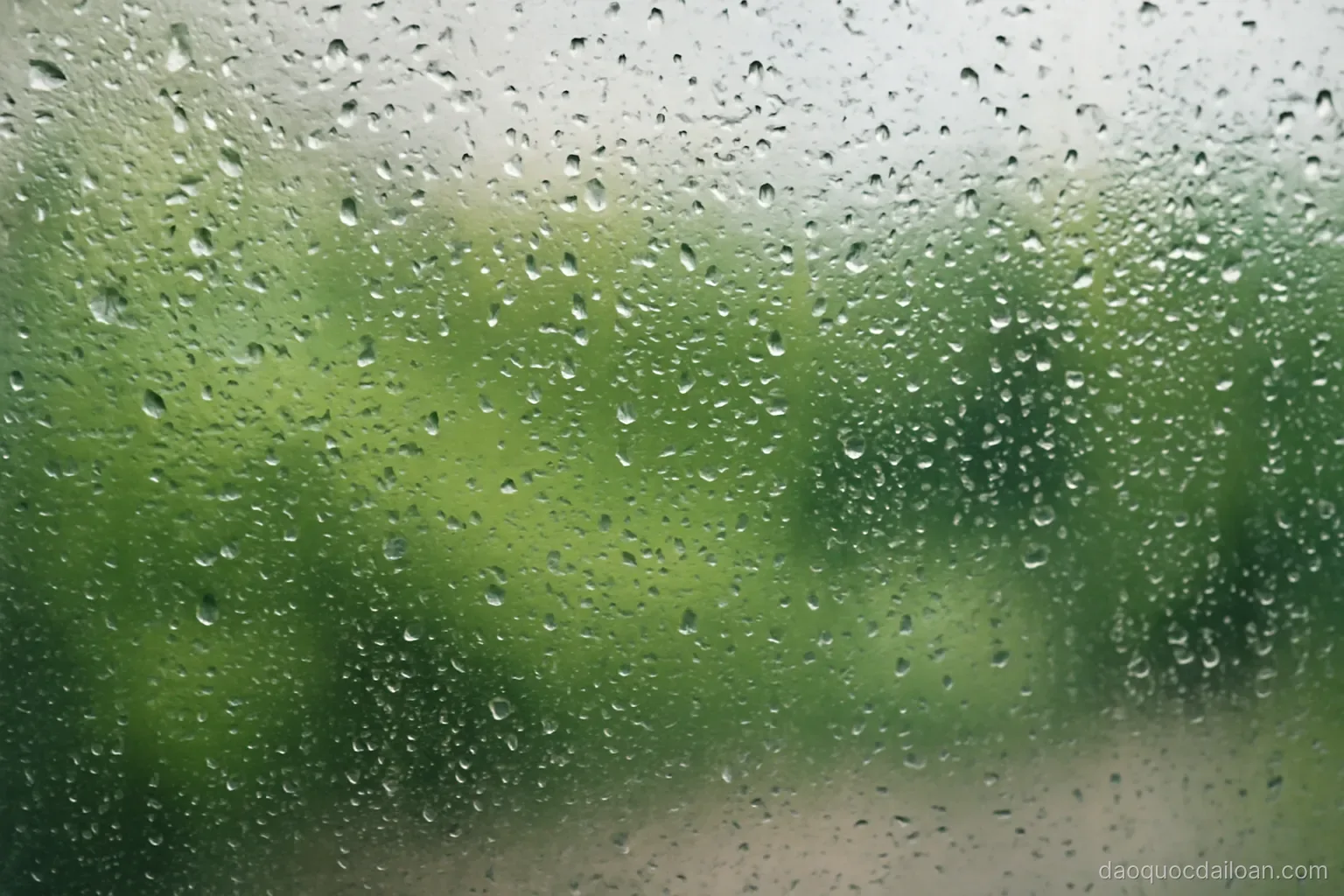 Condensation beading on a window pane with a blurred green view outside, close view, no readable text
