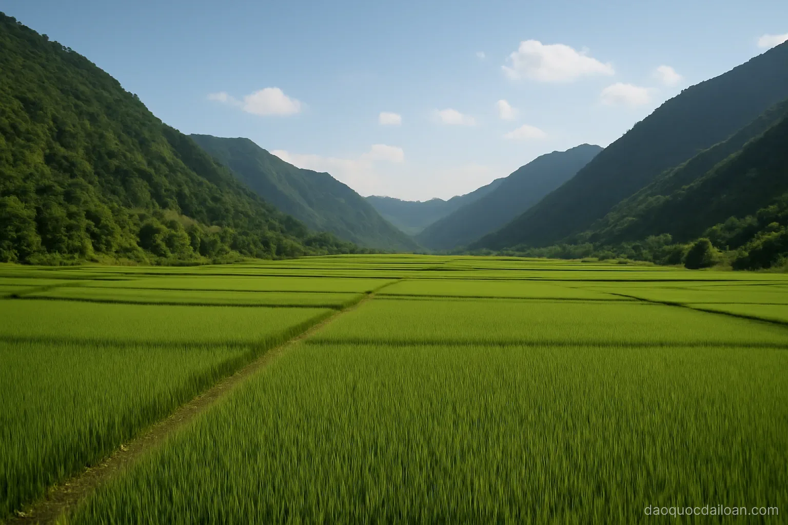 A long flat valley of green rice fields running between two parallel mountain ranges, wide view, no readable text
